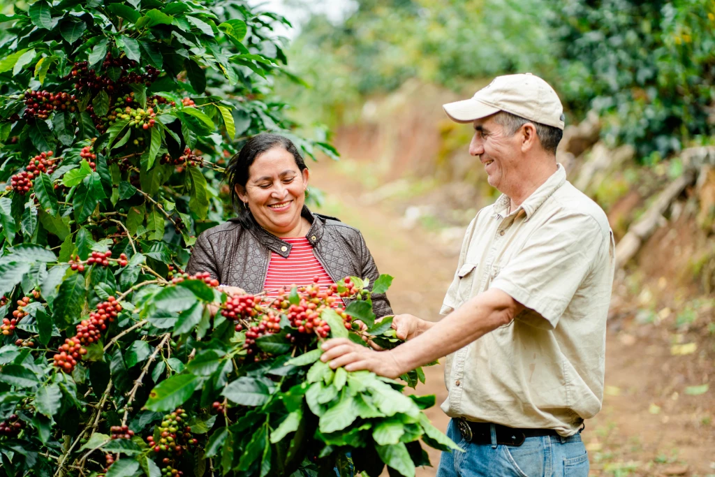 Sustainability_Supply Chain.jpg