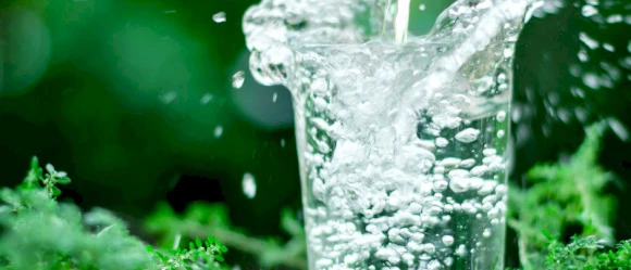 Water_green_IT