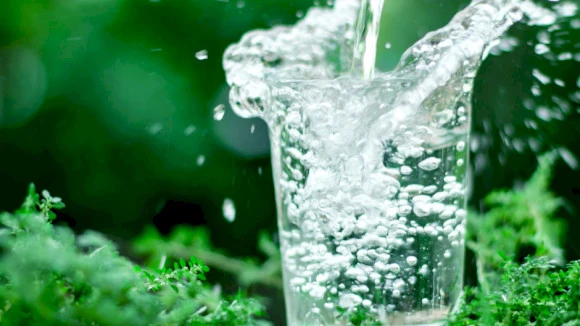 Water_green_IT