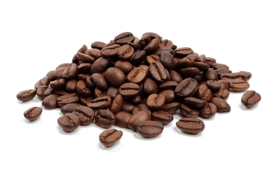 beans-mini (1).png